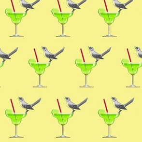 Tequila Mockingbird