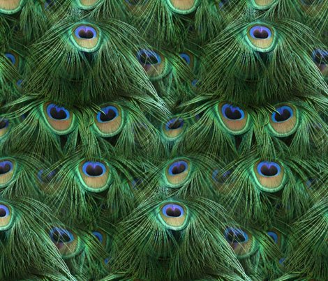 Rrpeacock_tail_by_fimb_long_2_shop_preview