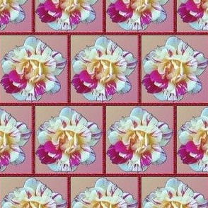 single rose
