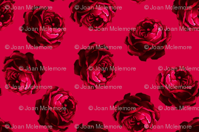 Roses_2_right_side_of_swatch