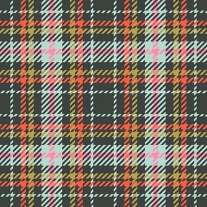Plaid19