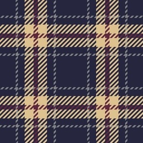Plaid17