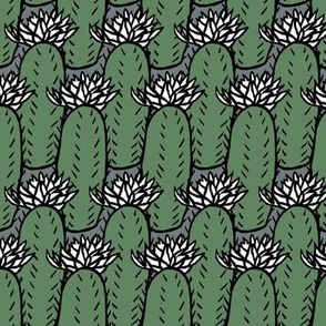 Flowering Cactus