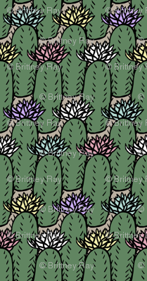 Cactus Multi