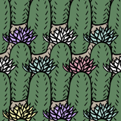 Cactus Multi