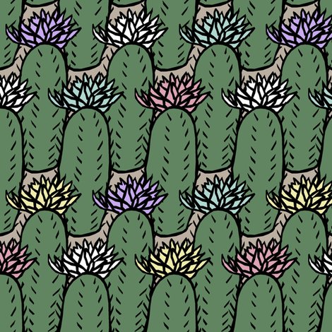 Rrcacti_multi_shop_preview