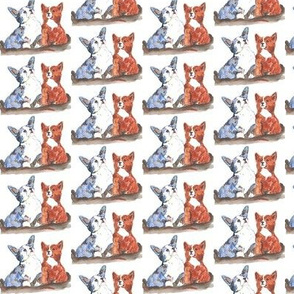Welsh Corgi Cardigan and Pembroke puppies