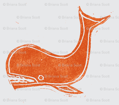 whale-orange grey
