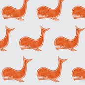 whale-orange grey
