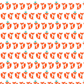 King Fox in Orange