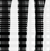 "Shadows of Manhattan"
