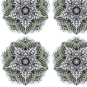 pine_cones_3