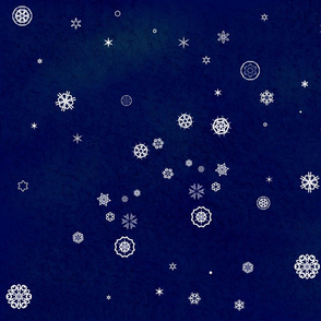 Snowy Night