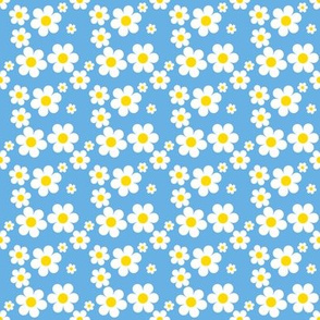 Sweetie Pie Daisy - Blue