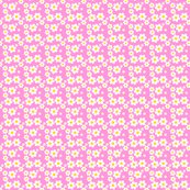 Rfillpinkdaisy_shop_thumb