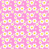 Sweetie Pie Daisy - Pink