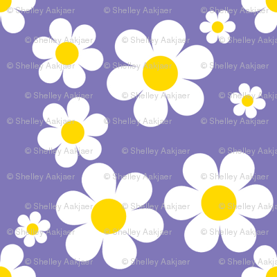 Sweetie Pie Daisy - Purple