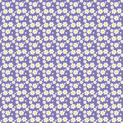 Rfillpurpledaisy_shop_thumb