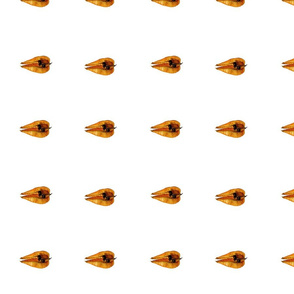 Pods Rotated