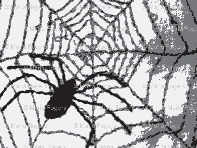 Spider Weave b&w