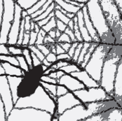 Spider Weave b&w