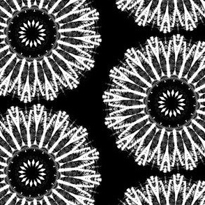 Zesty Zebra Zircles 2