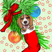 Beagle Christmas