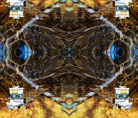 Fish Eyes and Bee Hives