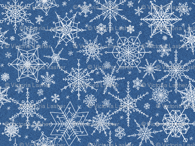 Snowflakes midst the blizzard