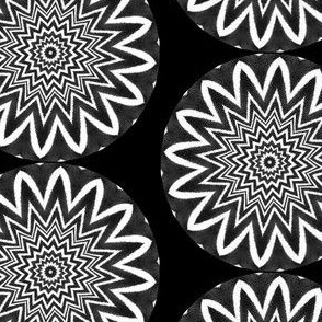 Zesty Zebra Zircles 5