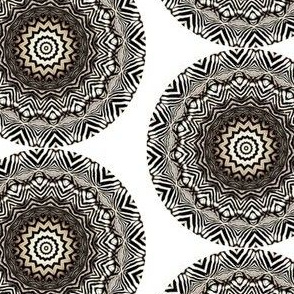 Zesty Zebra Zircles 6