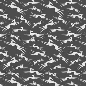 sighthounds in grey