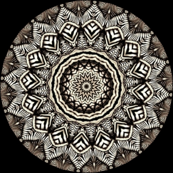 Zesty Zebra Zircles 7