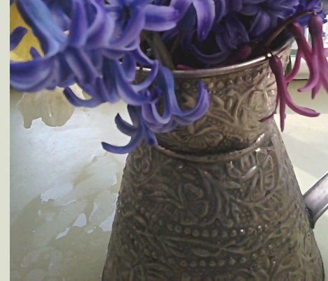 Daffodils-hyacinth-blue-ylw_shop_preview