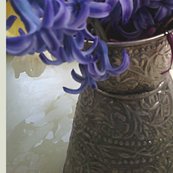 Daffodils-hyacinth-blue-ylw_shop_thumb