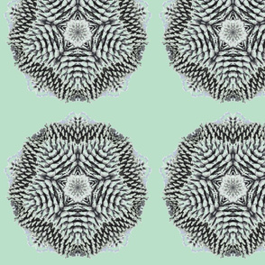 pine_cones_4-ed-ch
