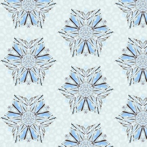 snowflake_1