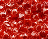 Rcaviar_thumb