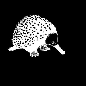Anteater 2