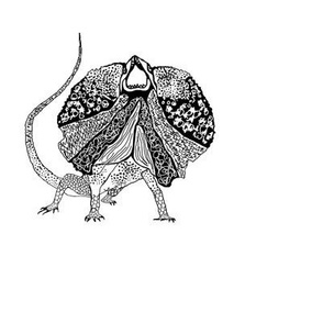 Frilled Neck Lizard 1