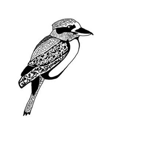 Kookaburra 1