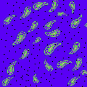Paisley Confetti