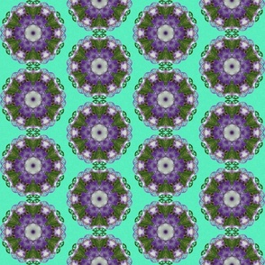 iris_5