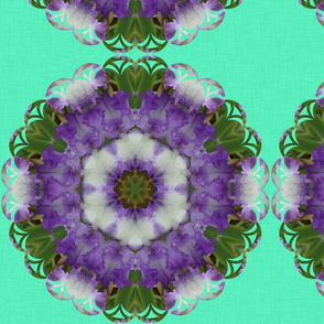 iris_4