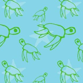turtle superstars!