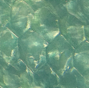 Eustace's Scales