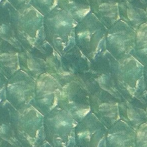 Eustace's Scales