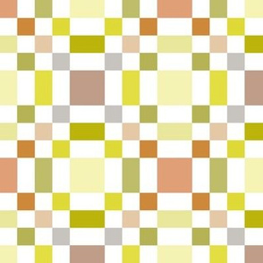 Checks 