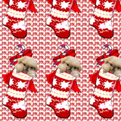 Pekingese Puppy In Christmas Stocking fabric