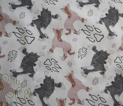 Chinese crested puppies and pawprints